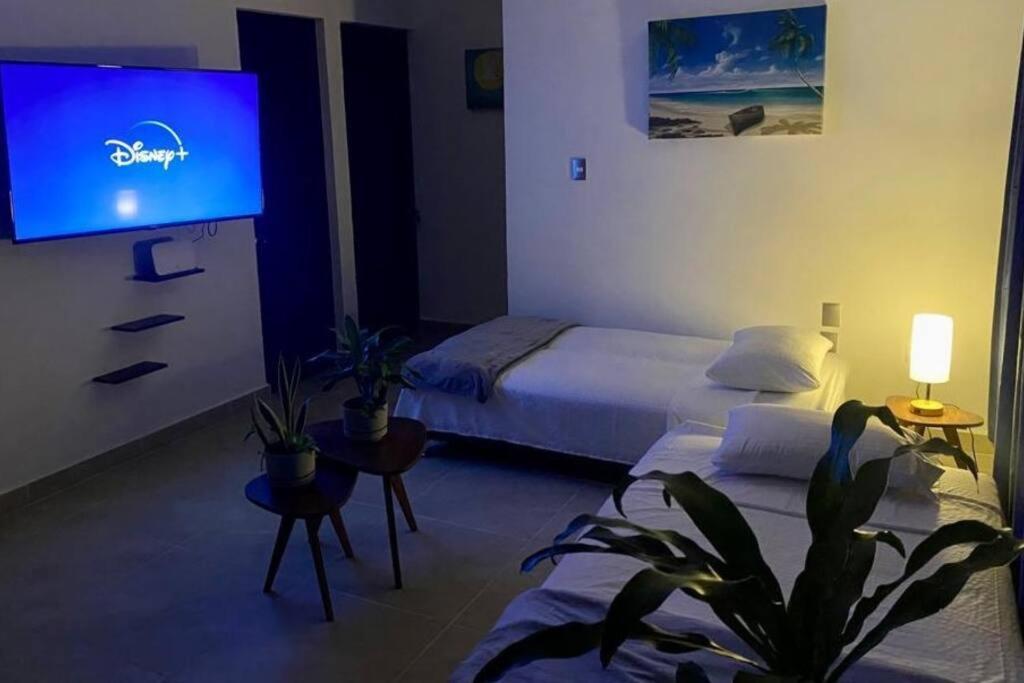 Apartamento Startip Condo Playa Del Carmen Piscina, Wi-Fi Y Restaurantes