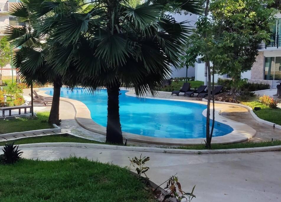 Startip Condo Playa Del Carmen Piscina, Wi-Fi Y Restaurantes Apartamento Playa del Carmen